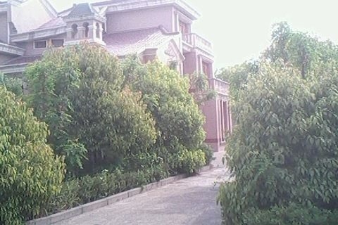 宝山区罗南镇沪太公路富锦路路口6000平方米新标准厂房可分割出租