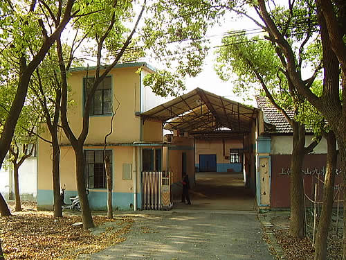 金山区亭林镇亭枫公路独门独院2450平米单层标准厂房出租出售