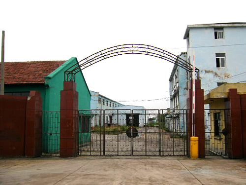 tCS