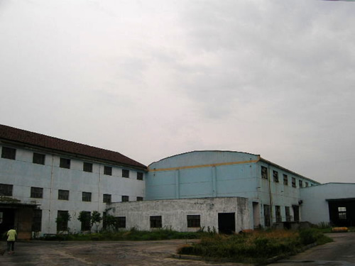 tCS
