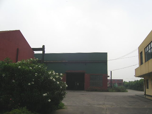 tCS